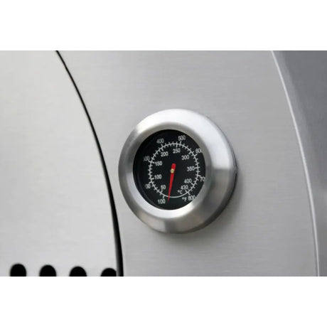 LunaStone Deluxe Outdoor Pizza Oven